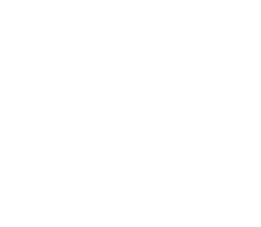 High Performer Logo